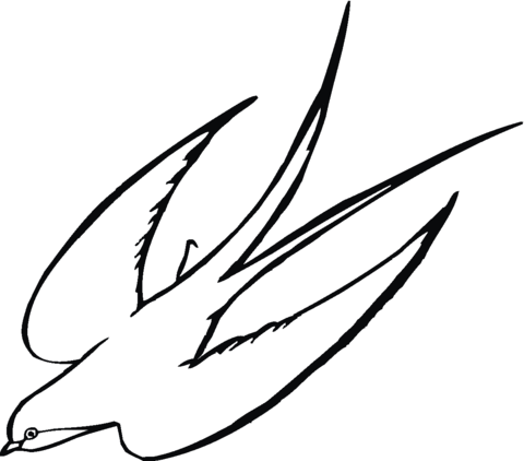 Barn Swallow coloring #8, Download drawings