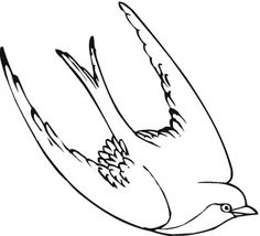 Barn Swallow coloring #6, Download drawings