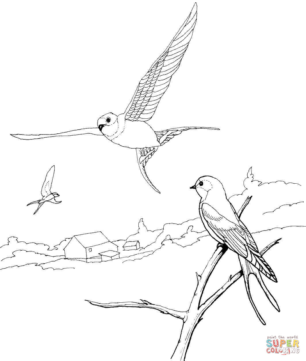 Barn Swallow coloring #11, Download drawings