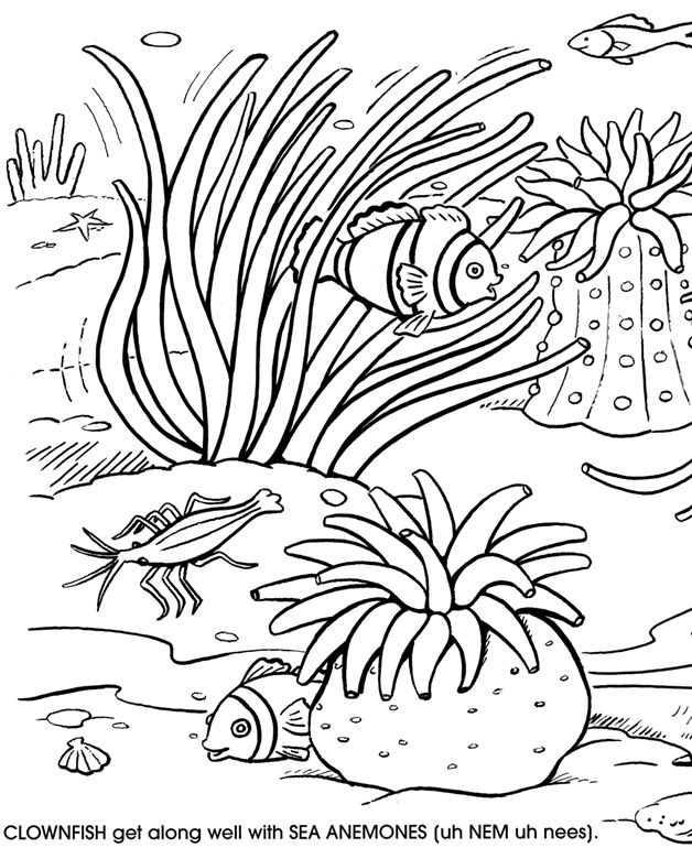Barrier Reef coloring #19, Download drawings