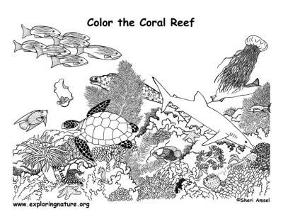 Barrier Reef coloring #18, Download drawings