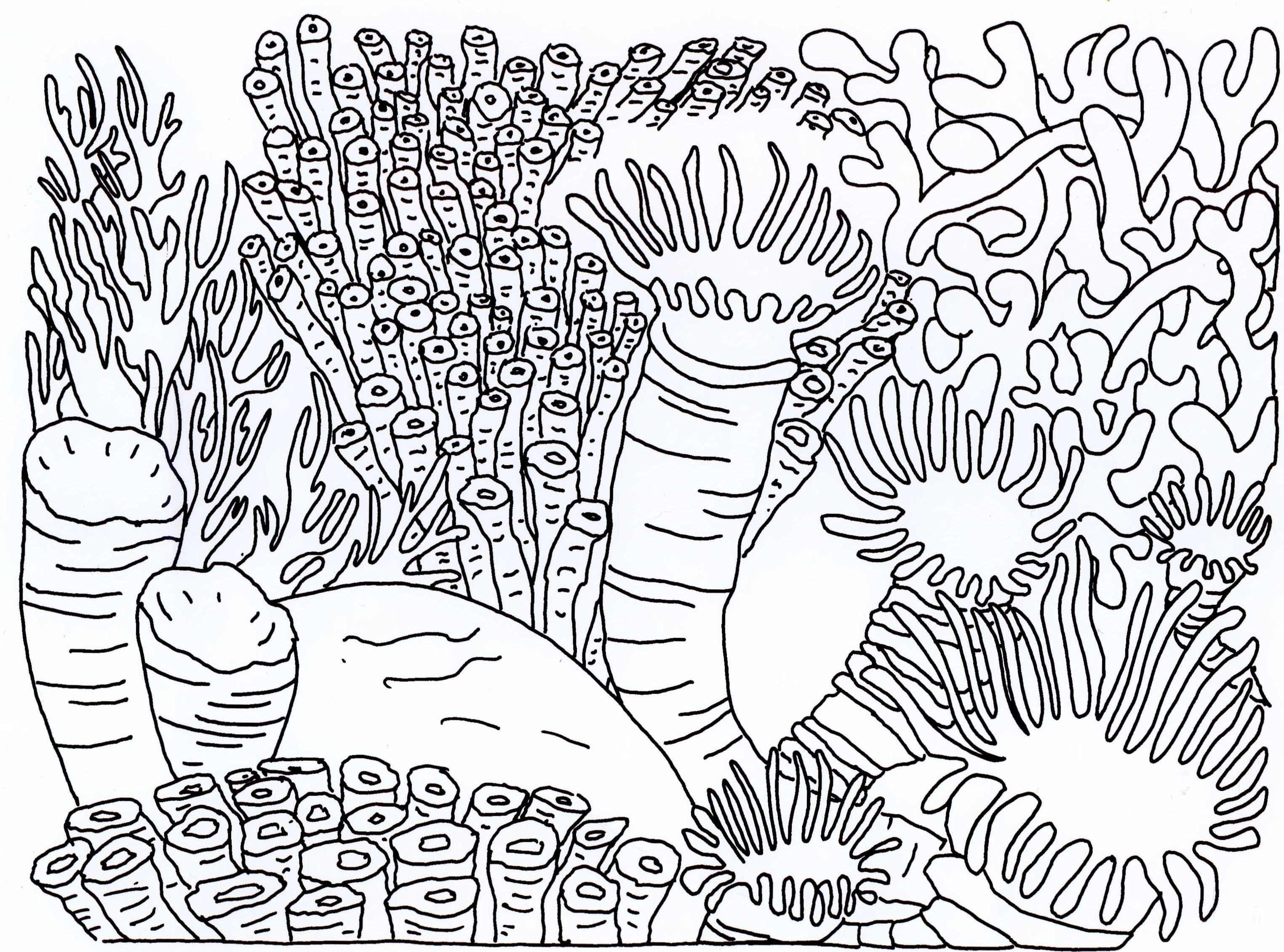 Barrier Reef coloring #10, Download drawings