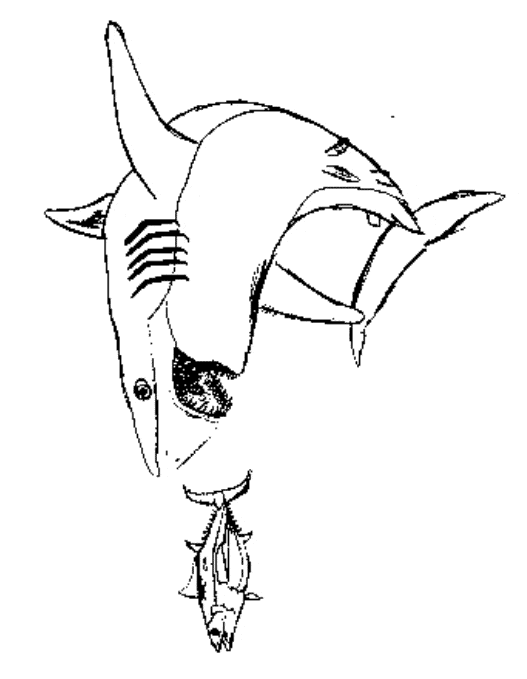 Basking Shark coloring #14, Download drawings
