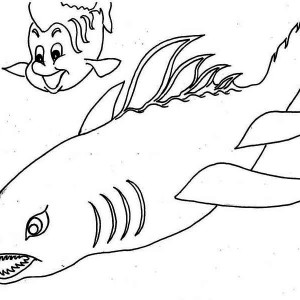 Basking Shark coloring #10, Download drawings