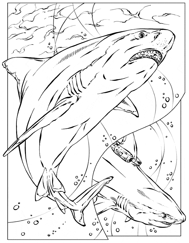 Basking Shark coloring #13, Download drawings
