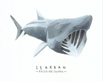 Basking Shark svg #16, Download drawings