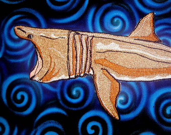Basking Shark svg #4, Download drawings