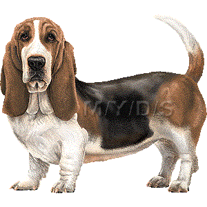 Basset clipart #18, Download drawings
