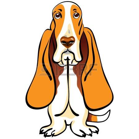 Basset Hound clipart #14, Download drawings