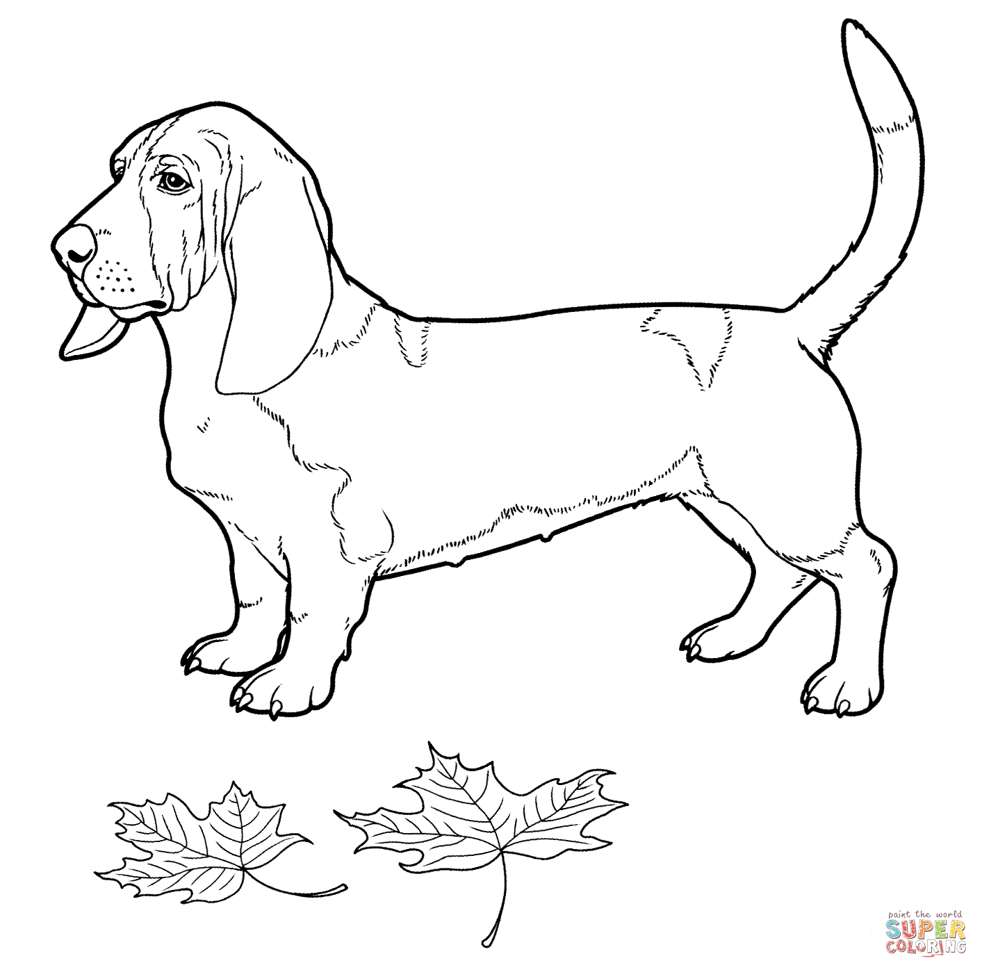 Basset Hound coloring #18, Download drawings