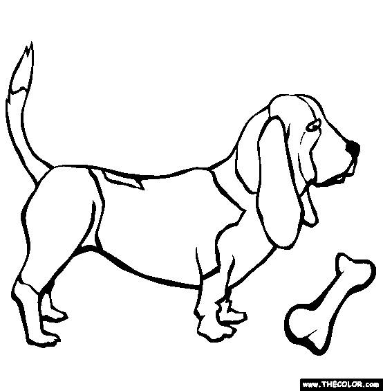 Hound coloring #1, Download drawings