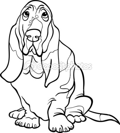 Basset Hound coloring #6, Download drawings