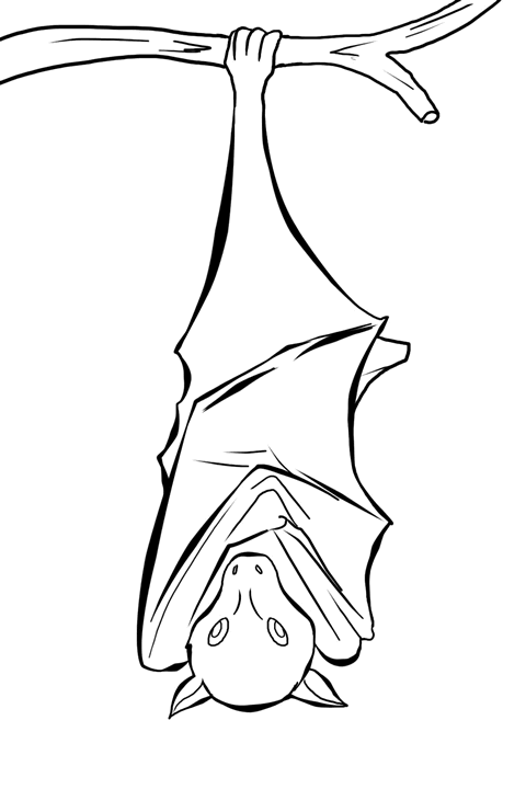 Bat coloring #10, Download drawings