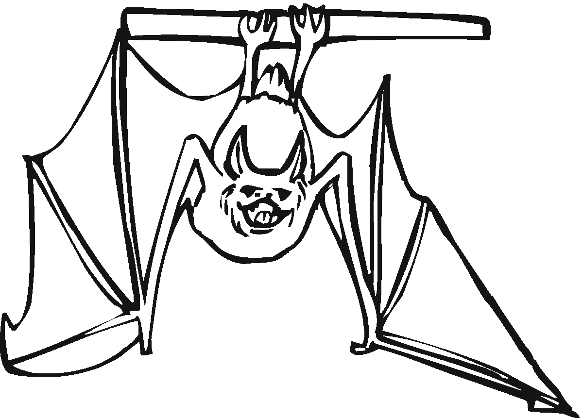 Bat coloring #8, Download drawings