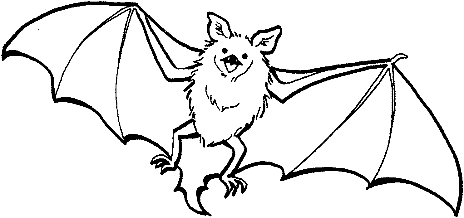 Bat coloring #20, Download drawings