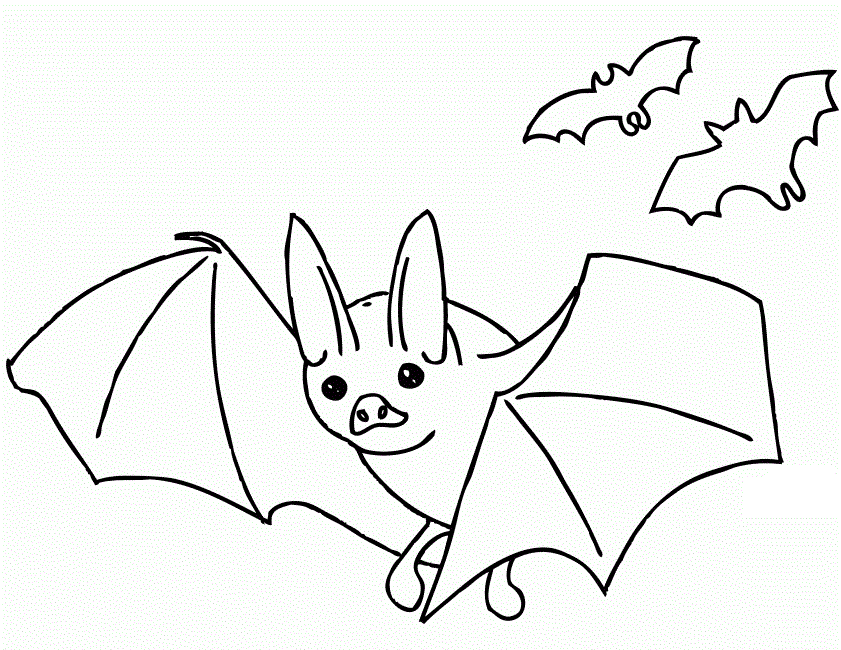 Bat coloring #3, Download drawings