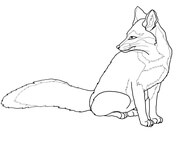 Bat-Eared Fox coloring #6, Download drawings