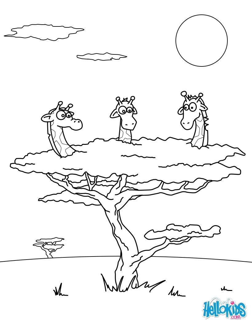 Baum coloring #6, Download drawings