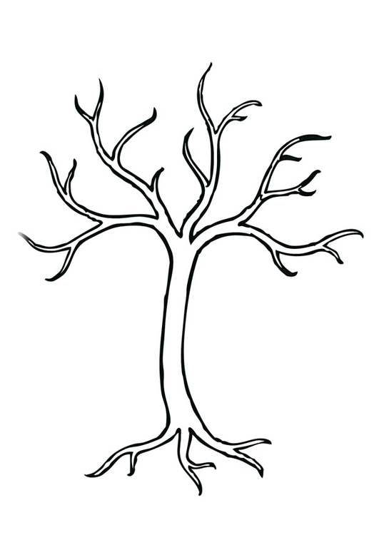 Baum coloring #3, Download drawings