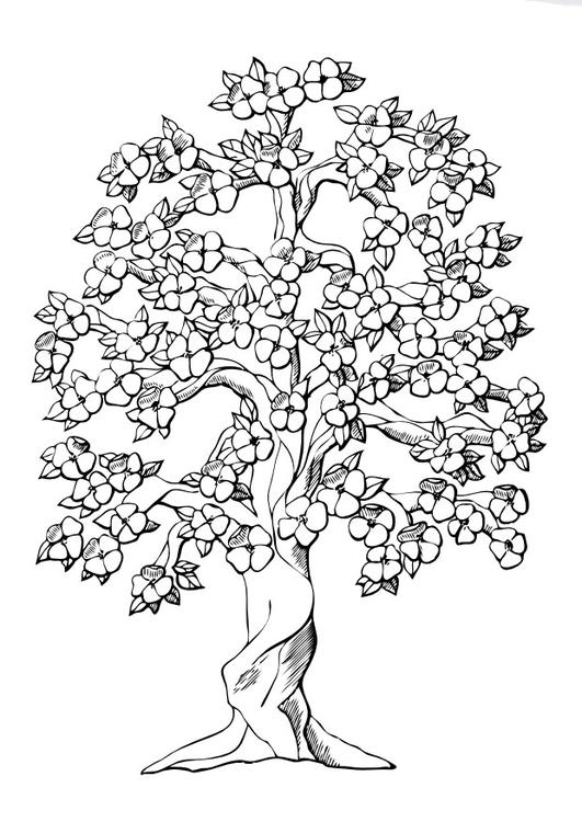 Baum coloring #17, Download drawings