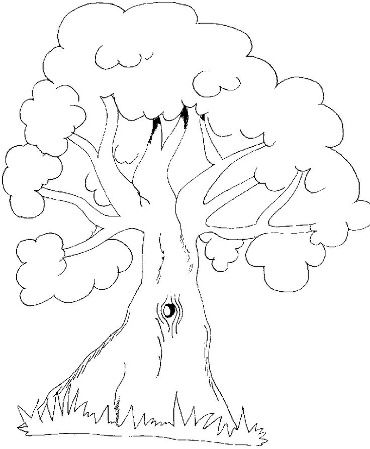 Baum coloring #15, Download drawings