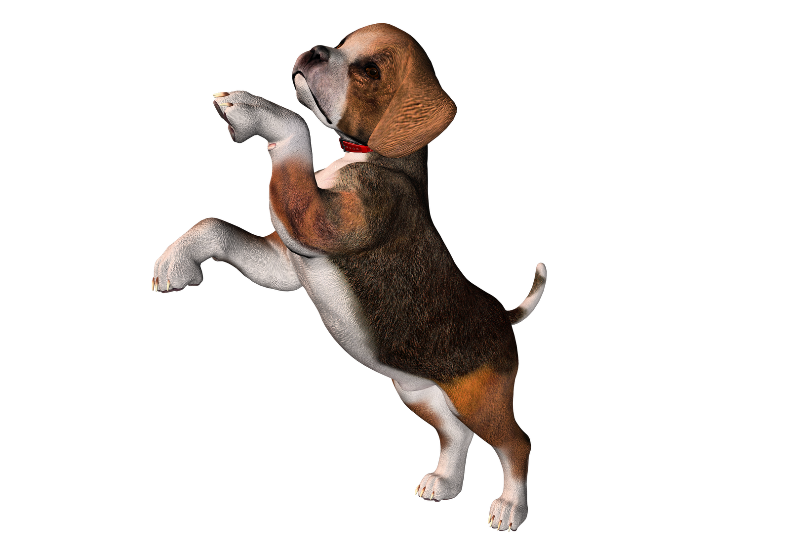 Beagle clipart #1, Download drawings
