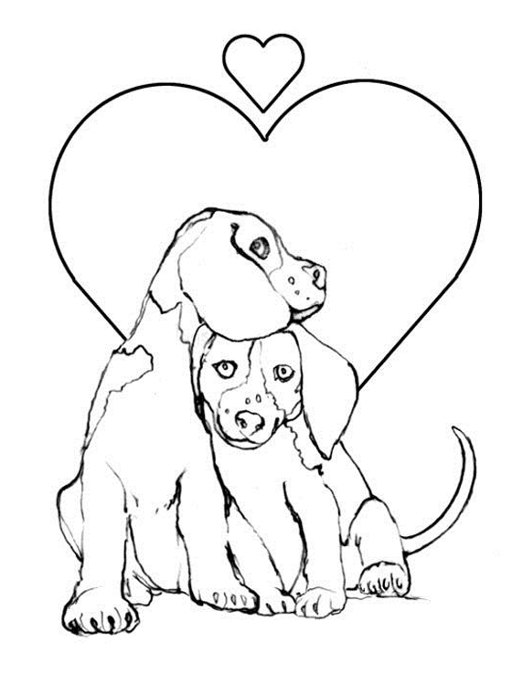Beagle coloring #16, Download drawings