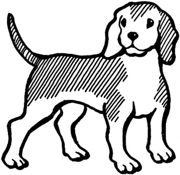 Beagle coloring #10, Download drawings