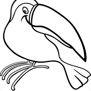 Beak coloring #14, Download drawings