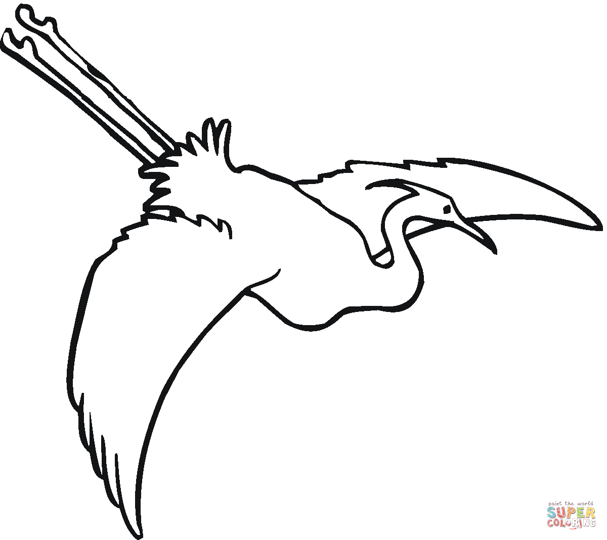 Great Egrets coloring #8, Download drawings