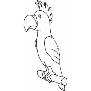 Beak coloring #7, Download drawings
