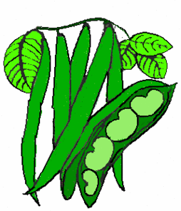 Beans clipart #3, Download drawings