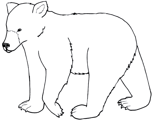 Bear coloring #1, Download drawings