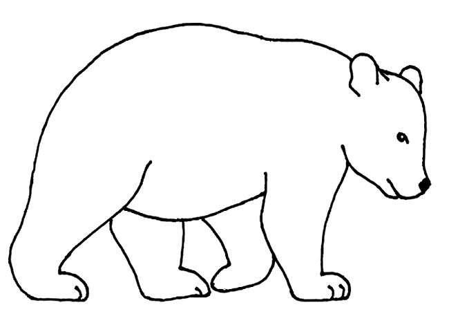 Bear coloring #16, Download drawings