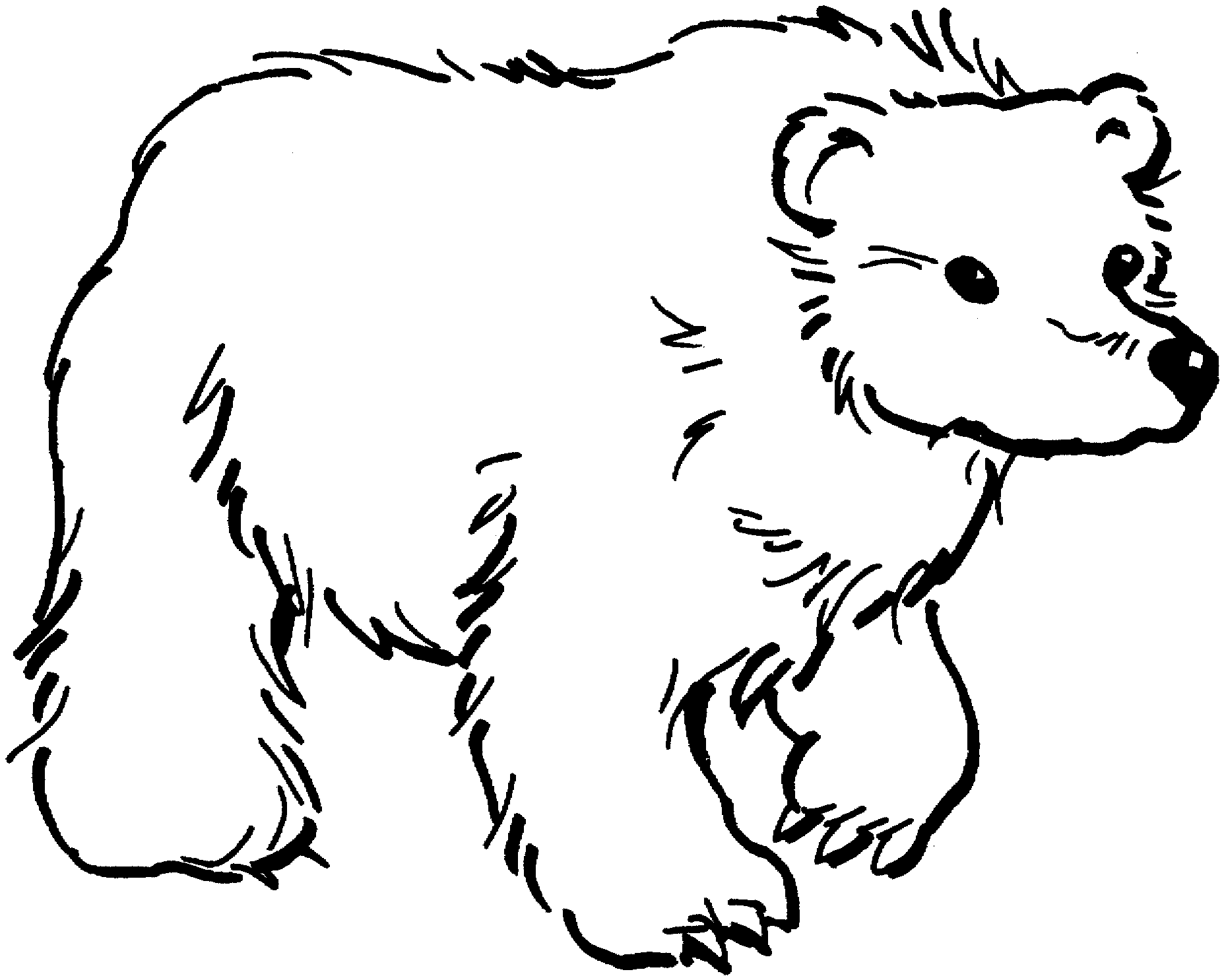 Bear coloring #13, Download drawings