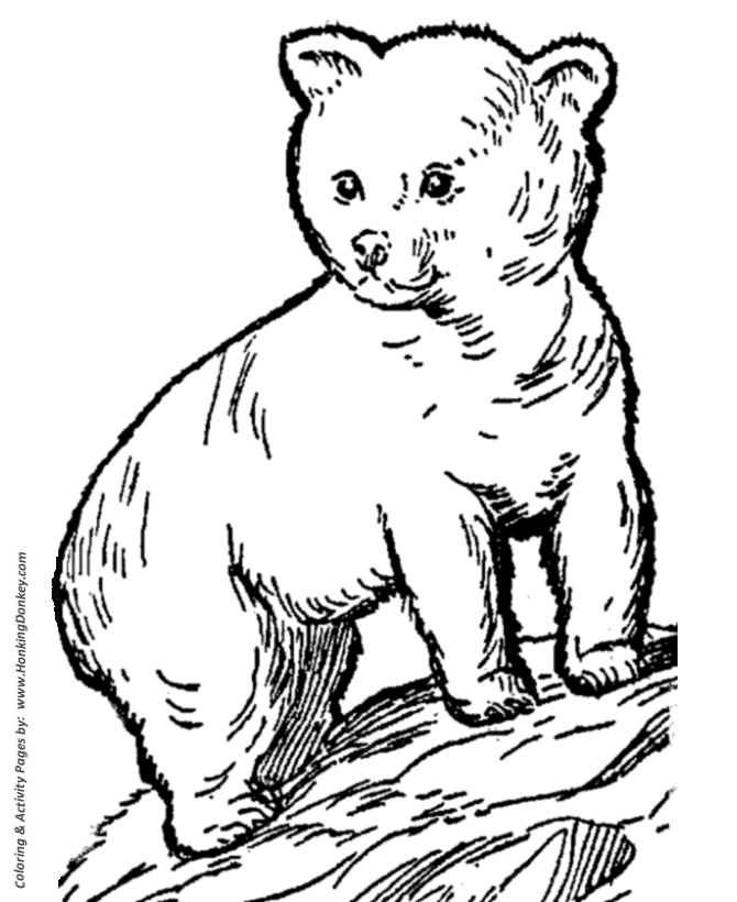 Bear Cub coloring #9, Download drawings