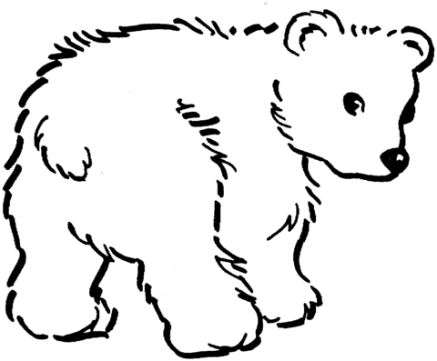 Bear Cub coloring #5, Download drawings