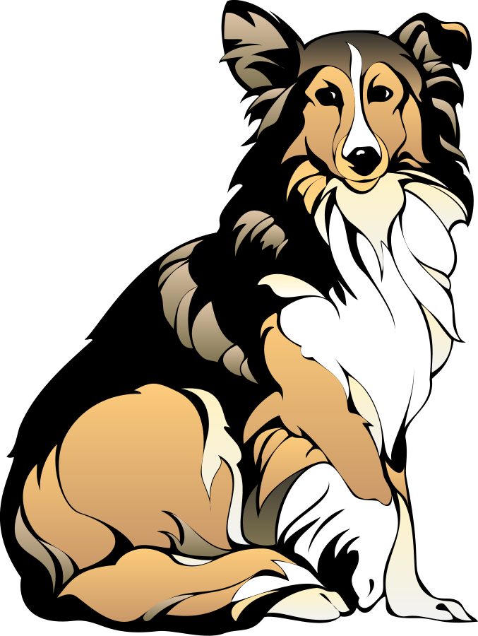 Bearded Collie clipart #1, Download drawings