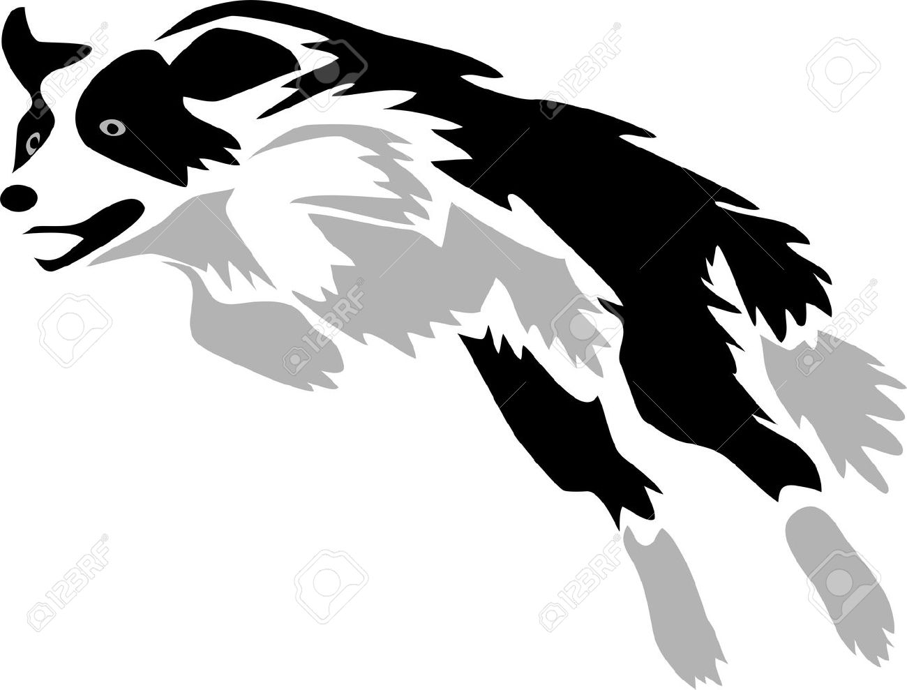 Border Collie clipart #2, Download drawings