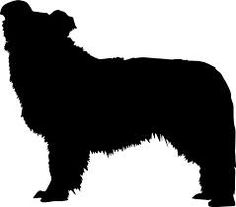 Bearded Collie svg #9, Download drawings
