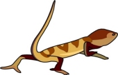 Bearded Dragon clipart #18, Download drawings