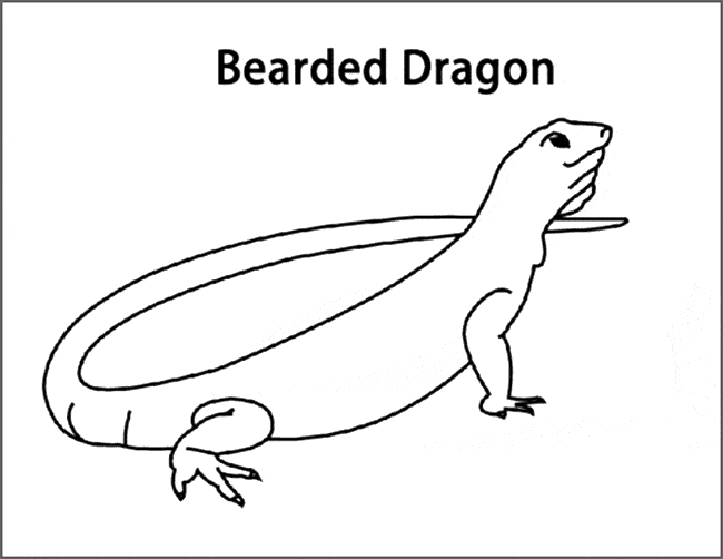 Bearded Dragon coloring #15, Download drawings