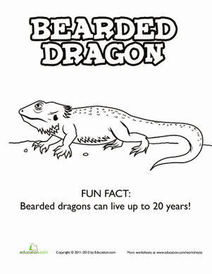 Bearded Dragon coloring #20, Download drawings