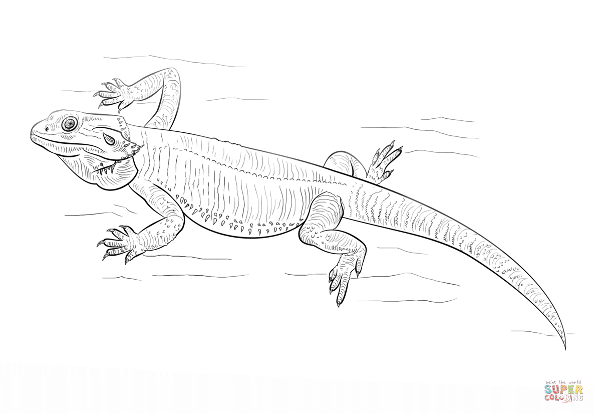 Bearded Dragon coloring #10, Download drawings