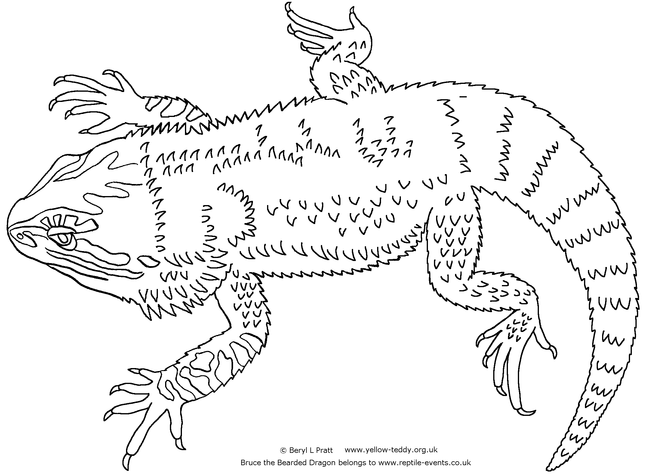 Bearded Dragon coloring #14, Download drawings