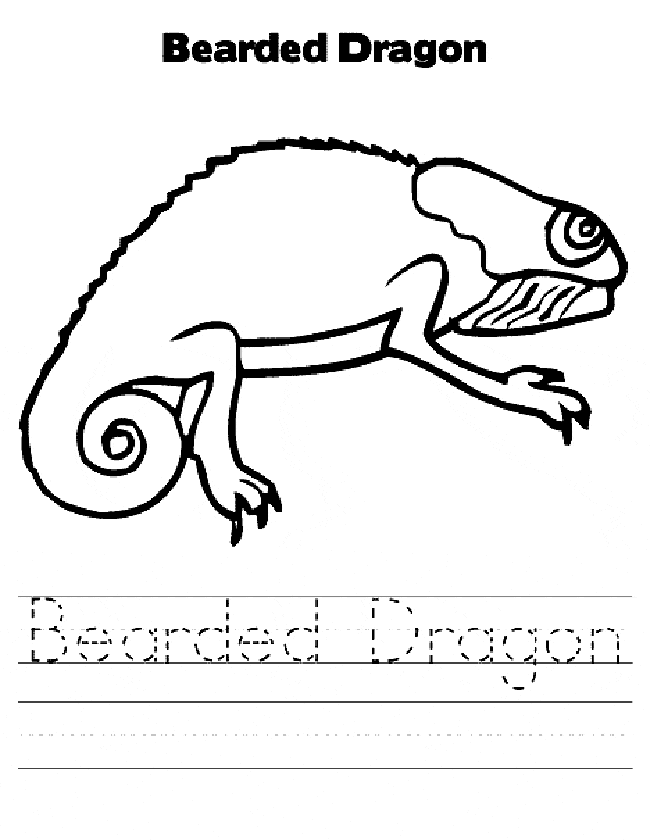 Bearded Dragon coloring #11, Download drawings