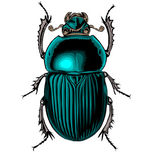 Beetle clipart #20, Download drawings
