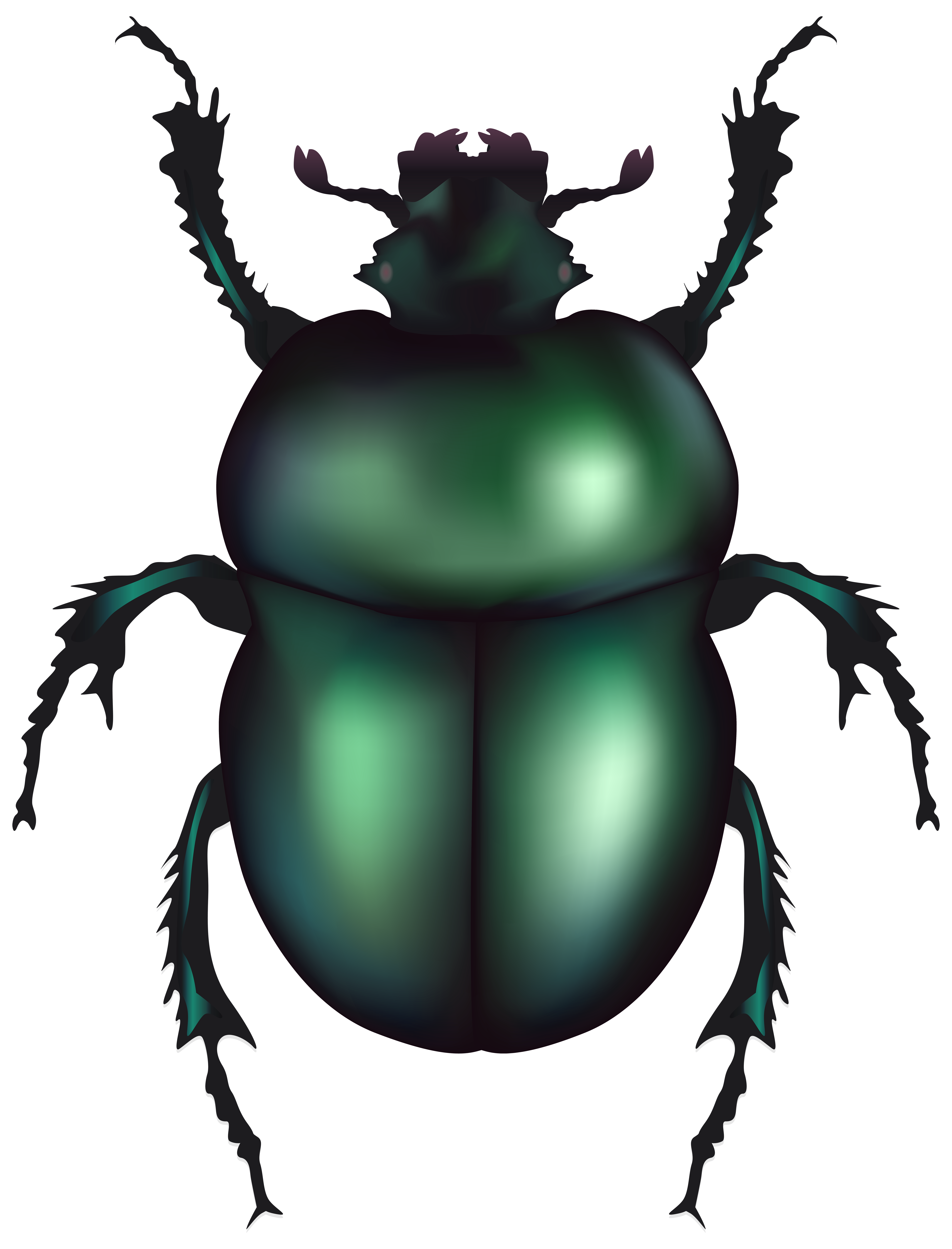 Beetle clipart #2, Download drawings