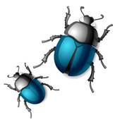 Beetle clipart #11, Download drawings