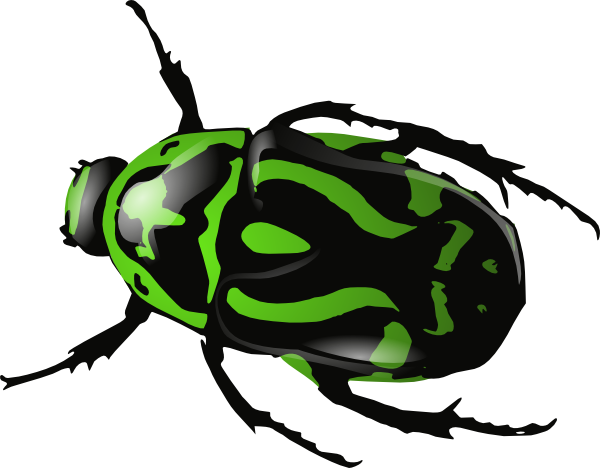 Beetle clipart #4, Download drawings